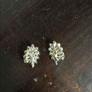 Elegant Silver Leaf Earrings